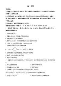 湖南省湘一名校联盟2024-2025学年高一下学期4月期中联考化学试卷（Word版附解析）