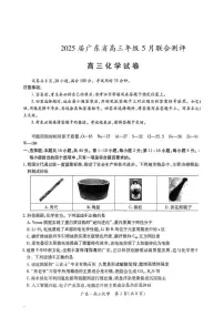 广东省部分学校2025届高三下学期5月联考 化学试卷（图片版，含答案）