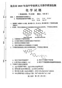 福建省龙岩市2025届高三下学期5月质检化学试题（含答案）