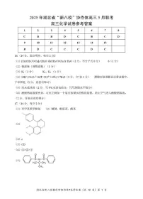 湖北省新八校2025届高三下学期5月联考化学试题（含答案）