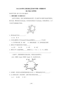 上海市位育中学2024-2025学年高三上学期期末考试 化学试卷含答案