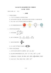 上海市徐汇区南洋模范中学2024-2025学年高三上学期期末化学试卷含答案