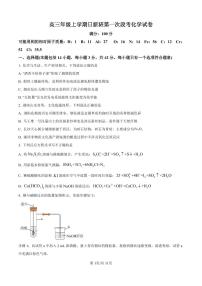 江西省宜春市丰城市第九中学2024-2025学年高三上学期第一次段考化学试卷（含答案）