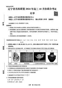 辽宁省名校联盟2024年高三10月份联合考试 化学试卷（含答案）