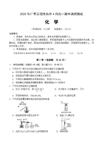 广西示范性高中2024-2025学年高一下学期4月期中考试化学试卷（Word版附答案）