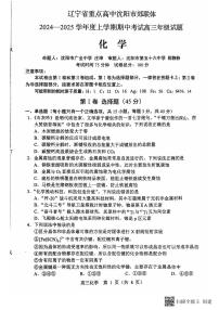 辽宁省沈阳市郊联体2024-2025学年高三上学期11月期中考试 化学试题（含答案）