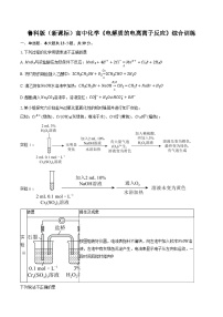鲁科版（新课标）高考化学专题练习 《电解质的电离 离子反应》综合训练