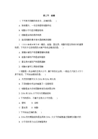 人教版 (2019)选择性必修3核酸一课一练