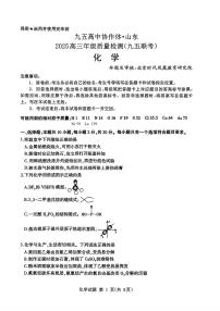 山东省九五高中协作体2025届高三下学期5月质量检测（东营二模）化学试卷（PDF版附答案）