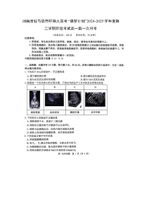 河南省驻马店市环际大联考“逐梦计划”2024-2025学年度第二学期阶段考试高一第一次月考（扫描版）化学