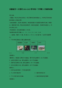 安徽省天一大联考2024-2025学年高一下学期3月调研化学试卷（解析版）