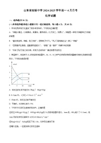 山东省实验中学2024-2025学年高一下学期4月月考化学试题（原卷版+解析版）