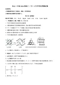 四川省乐山市第一中学校2024-2025学年高二下学期3月月考化学试题（原卷版+解析版）