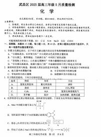 2025年武昌区高三下学期5月化学试题及答案含答题卡