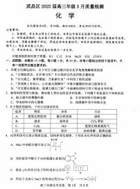 湖北省武汉市武昌区2025届高三下学期5月质量检测-化学试题+答案