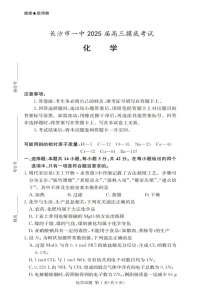 2025届湖南省长沙一中高三上学期摸底考-化学试题（含答案）