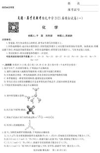 湖南省高三炎德·英才大联考雅礼中学 2025 届模拟试卷（一）化学含答案解析