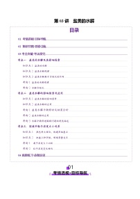 高考化学一轮复习讲练测第8章第03讲  盐类的水解(讲义)（2份，原卷版+解析版）