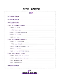 高考化学一轮复习讲练测第8章第03讲 盐类的水解(讲义)（2份，原卷版+解析版）