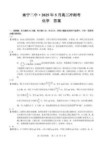 2025年广西省南宁二中高三下学期高考模拟冲刺考 化学试题（含答案）