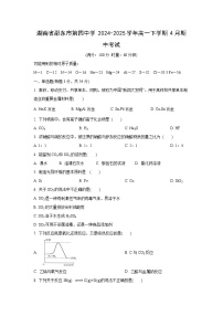 湖南省邵东市第四中学2024-2025学年高一下学期4月期中考试化学试题