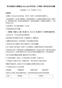 河北省衡水市桃城区2024-2025学年高三上学期三调考试化学试题（含答案）