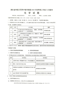 湖北省智学联盟2025届高三12月联考-化学试题+答案（含答案）