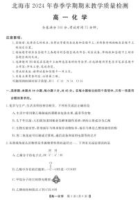 广西北海市2023-2024学年高一下学期期末教学质量检测化学试卷+