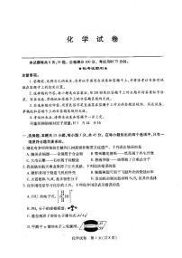 2025届湖北省武汉市高三下学期高考模拟考试化学试题（含答案）