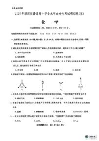 2025年湖南省普通高中学业水平合格性考试模拟卷（五）化学试题（高考模拟）