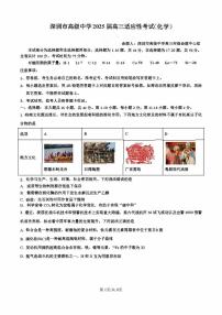 化学高三 深圳高级中学2025届高三高考适应性考试题目+答案