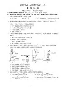 化学丨江苏省如皋市2025届高考适应性考试（三）（如皋3.5模）试卷及答案