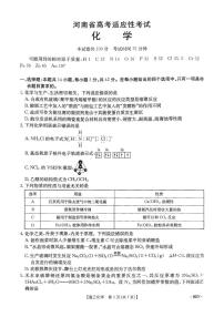 河南省创新发展联盟2024-2025学年高三下学期三模化学试题（含答案）含答案解析