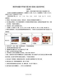 深圳市高级中学高中园2025届高三高考适应性考试（化学）试题（含答案）