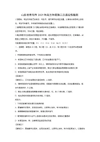 山东省青岛市2025年高三年级第二次适应性检测化学试卷（解析版）