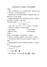 山东省滨州市2025届高三下学期二模化学试卷（解析版）