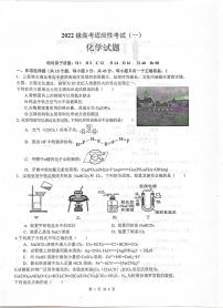 四川省绵阳中学2025届高三下学期高考适应性考试（一）化学试卷 含答案