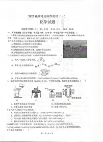 四川省绵阳中学2025届高三下学期高考适应性考试（一）化学试卷 含答案