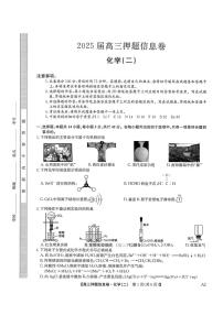 2025年九师联盟高考模拟押题卷二化学试题及答案