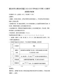 湖北省华大新高考联盟2024-2025学年高三下学期4月教学质量测评化学试卷（解析版）