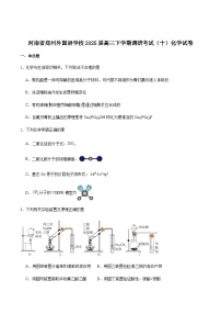 郑州外国语学校2025届高三下学期调研考试（十）化学试卷含答案