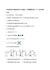 郑州外国语学校2025届高三下学期调研考试（十）化学试卷含答案