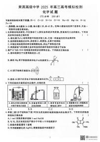 广西壮族自治区来宾市高级中学2025届高三下学期模拟检测 化学试题 含解析