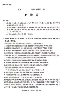 安徽省部分学校2025届高三下学期5月最后一卷化学试题（PDF版附解析）