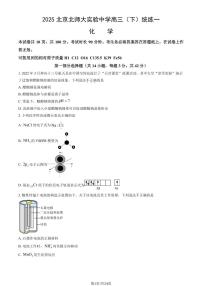 2025北京北师大实验中学高三（下）统练一化学（教师版）试卷
