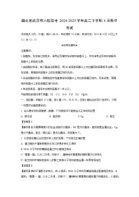 湖北省武汉市六校联考2024-2025学年高二下学期4月期中考试化学试卷（解析版）