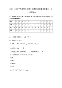 贵州省黔西南州金成实验学校2024-2025学年高一下学期4月月考 化学（非选考）试题含答案