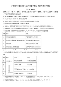 广西钦州市第四中学2024-2025学年高一上学期期中考试+化学试题