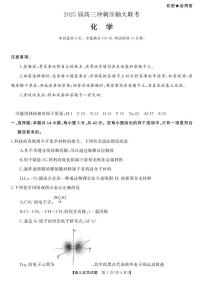 2025届湖南高考模拟天壹冲刺压轴大联考化学试题+答案