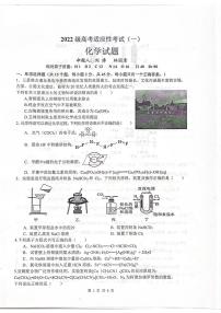 四川省绵阳中学2025届高三下学期高考适应性考试（一）化学试题（PDF版附答案）